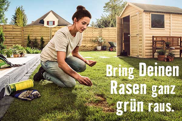 HORNBACH Ratgeber Rasenprojekte