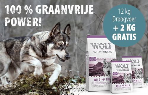 12 kg droogver + 2 kg gratis!