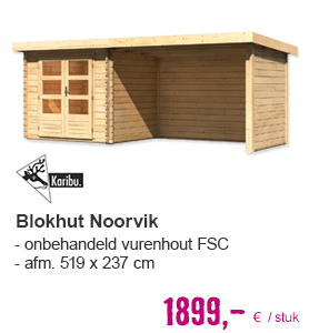 KARIBU Blokhut Noorvik 2 met aanbouw 3 m. 519x237 cm | HORNBACH