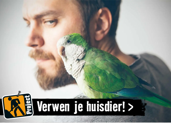 Verwen je huisdier! | HORNBACH