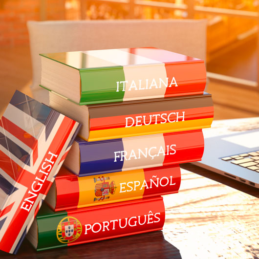Wörterbücher © Shutterstock/cybrain