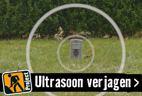 Verjagen met ultrasoon geluid | HORNBACH