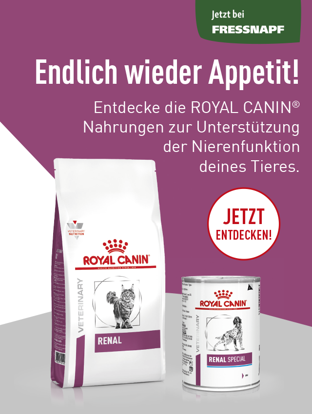 Endlich wieder Appetit!- Entdecke die ROYAL CANIN Nahrungen zur Unterstützung der Nierenfunktion deinen Tieres