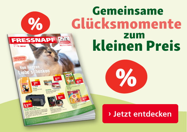 Unsere Februar-Angebote sind da