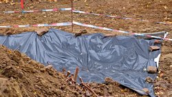 Abgedeckte menschliche Knochen, die während der Bauarbeiten in Mainz gefunden wurden. © Christian Schultz/dpa
