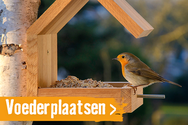 Voederplaatsen & nestkastjes | HORNBACH