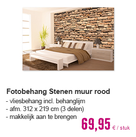 Fotobehang vlies Stenen muur rood 312x219 cm