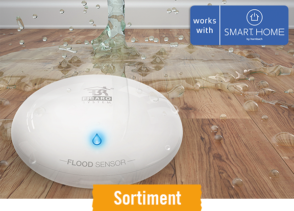 Smarte Wassermelder