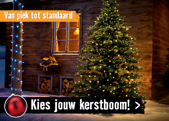 Kies jouw kerstboom! | HORNBACH