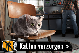 Katten houden en verzorgen l HORNBACH