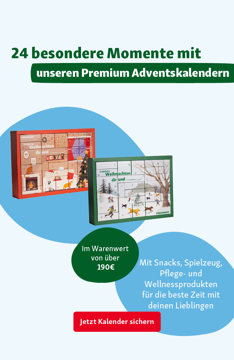 Jetzt Adventskalender sichern 