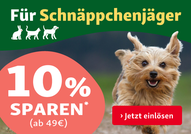 Für Schnäppchenjäger: 10% auf alles ab 49€