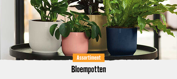 Bloempotten | HORNBACH