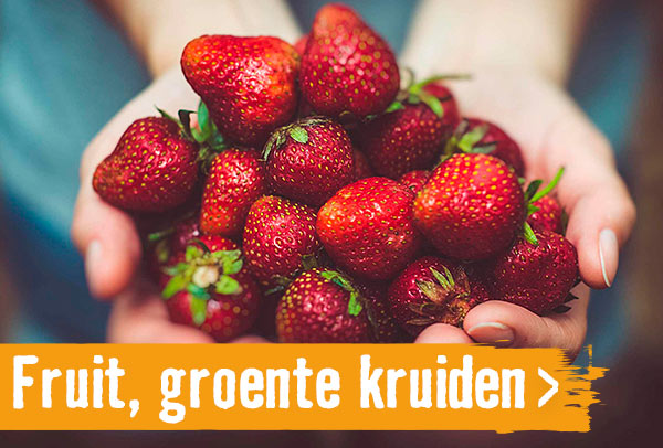 Fruit, groente & kruiden | HORNBACH