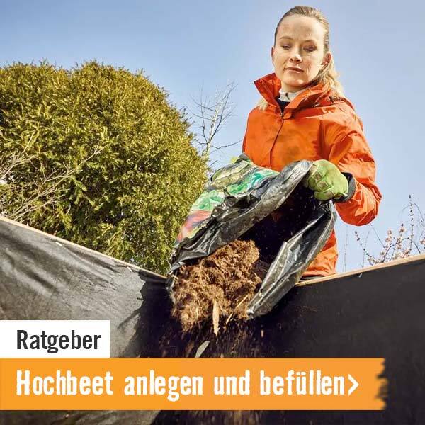 Ratgeber Hochbeet anlegen und befüllen