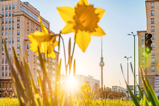Top 11 new openings in Berlin in March