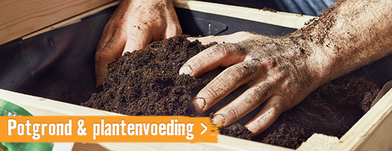 Potgrond & plantenvoeding | HORNBACH