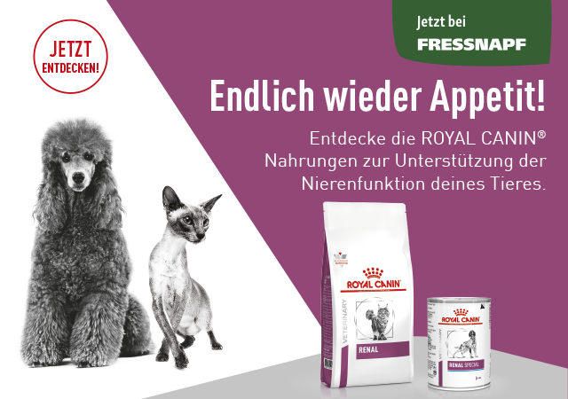 Endlich wieder Appetit! Entdecke die ROYAL CANIN Nahrungen zur Unterstützung der Nierenfunktion deines Tieres