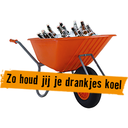 ALTRAD kruiwagen SHK-100 UNI | HORNBACH