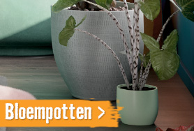 Bloempotten | HORNBACH