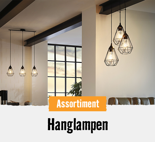 Hanglampen | HORNBACH