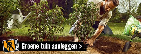 Groene tuin aanleggen | HORNBACH