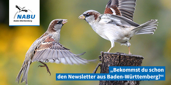 Jetzt den Newsletter aus Baden-Württemberg abonnieren