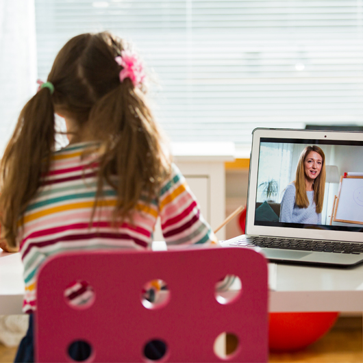 Homeschooling: shutterstock.com/Aleksandra Suzi