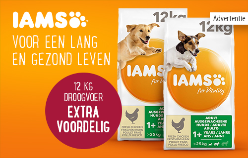 Extra voordelig! 12 kg IAMS droogvoer