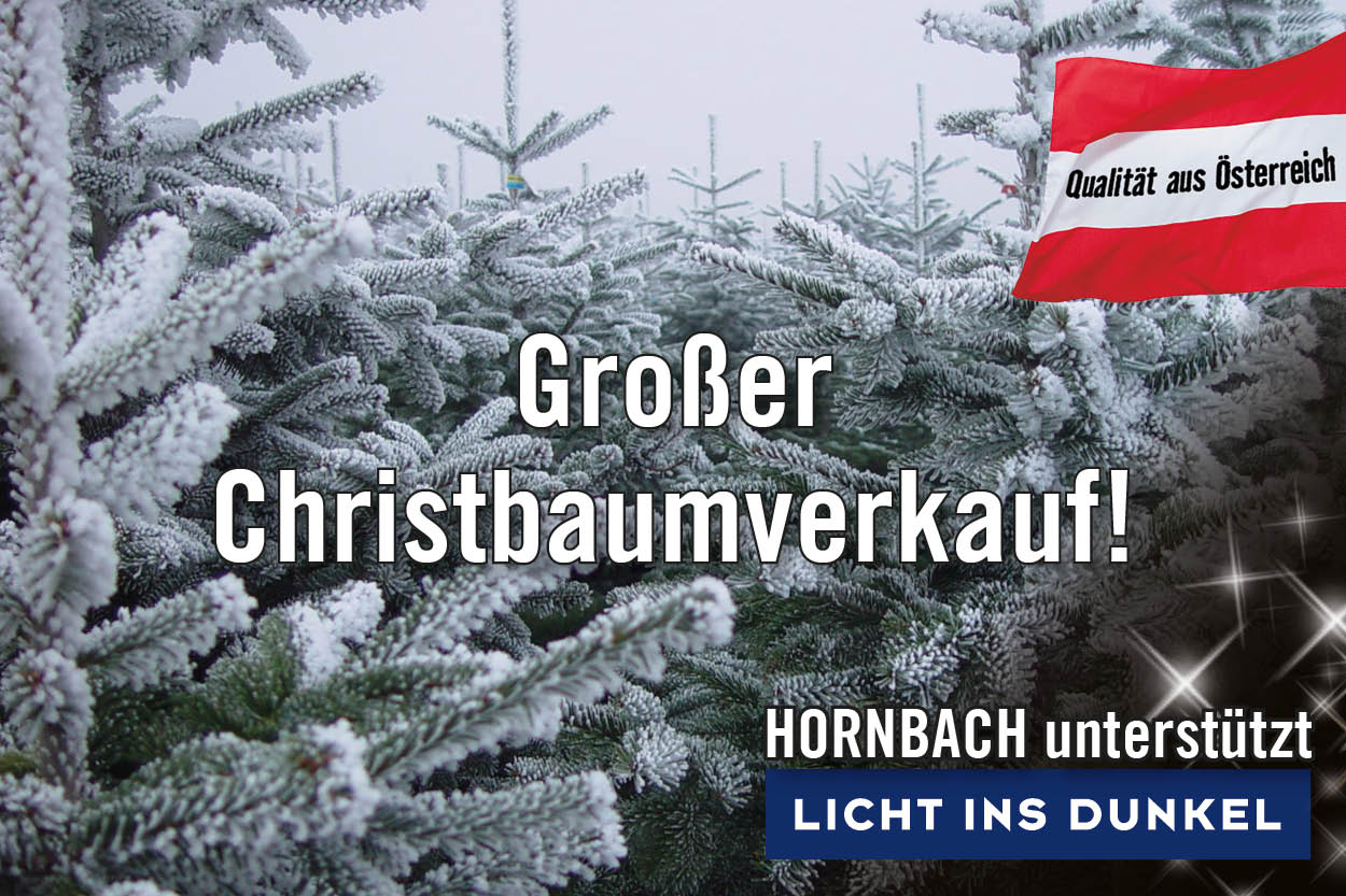 Großer Christbaumverkauf.