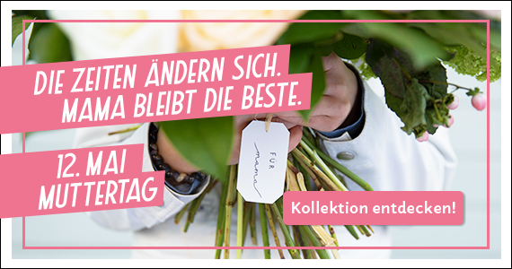 Zur Kollektion
