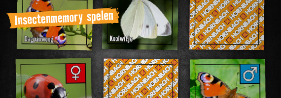 Insectenmemory . HORNBACH 