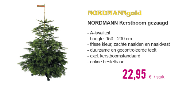 NORDMANN GOLD Kerstboom gezaagd 150 - 200 cm | HORNBACH