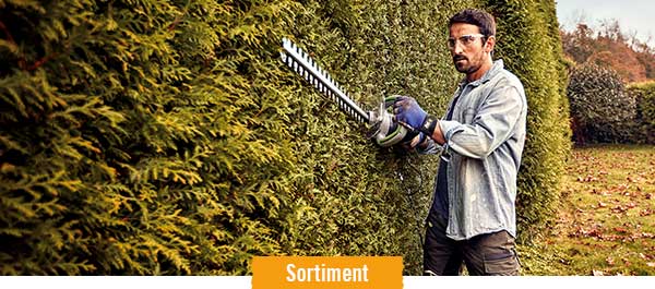 Heckenscheren im HORNBACH Onlineshop
