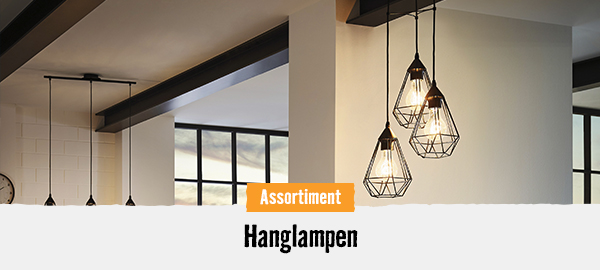 Hanglampen | HORNBACH