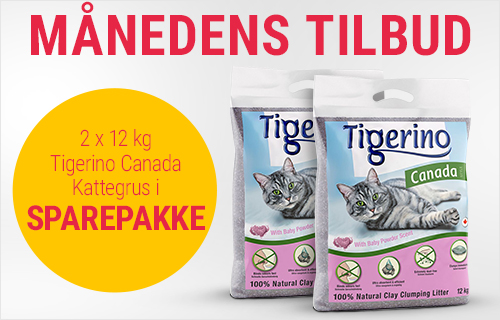 Månedens tilbud Tigerino