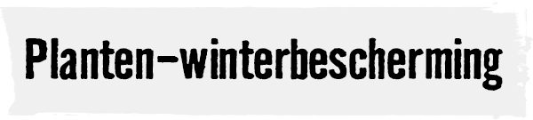 Planten-winterbescherming | HORNBACH