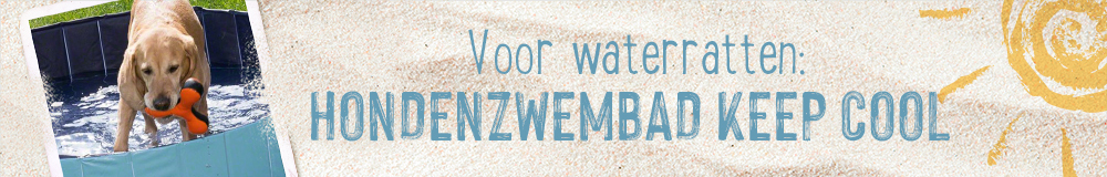 Voor de waterratten: hondenzwembad keep cool