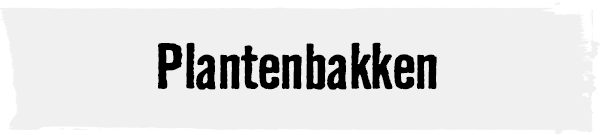 Plantenbakken | HORNBACH