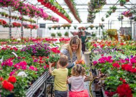 Eine Familie kaufe Blumen im Gartencenter ein.