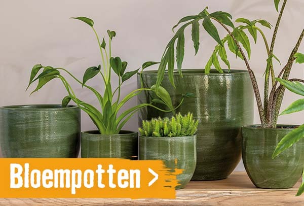 Bloempotten | HORNBACH