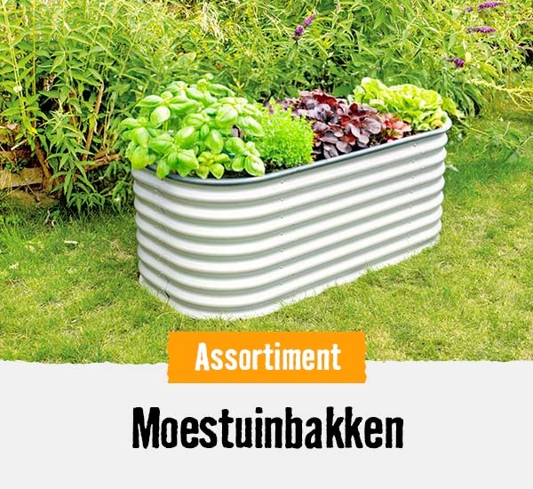 Moestuinbakken | HORNBACH
