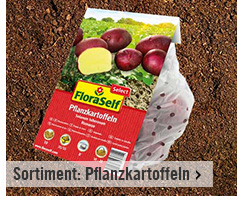 Sortiment Pflanzkartoffeln