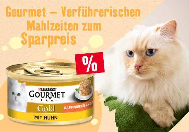 Gourmet - Verführerische Mahlzeiten zum Sparpreis