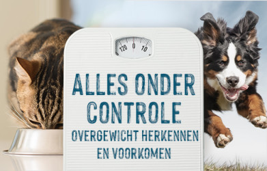 Heeft jouw huisdier overgewicht?
