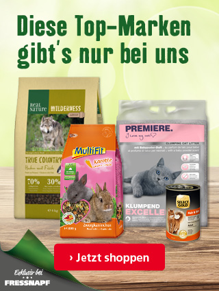 Exklusiv bei uns