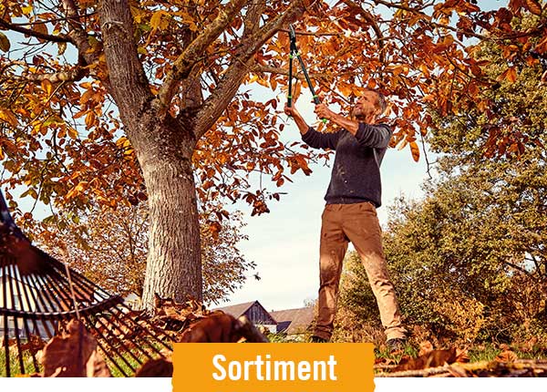Astscheren im HORNBACH Onlineshop