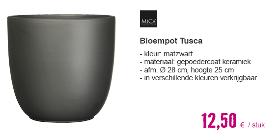 MICA DECORATIONS Pot Tusca zwart Ø 28 H 25 cm | HORNBACH