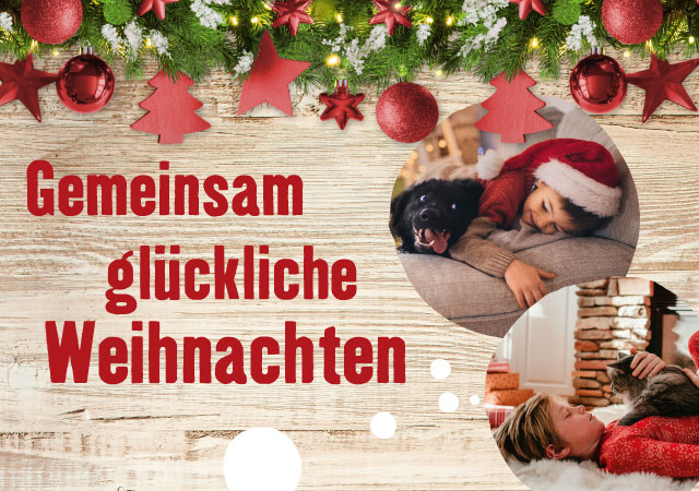 Entdecken Sie unsere Weihnachtswelt