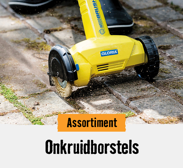Onkruidborstels | HORNBACH